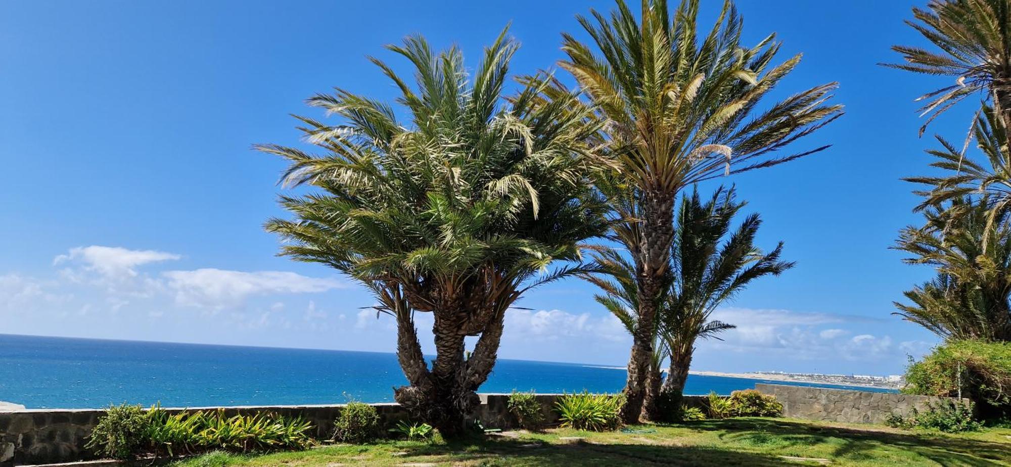 Apartamento Monte Del Moro Sea Front View Maspalomas (Gran Canaria)