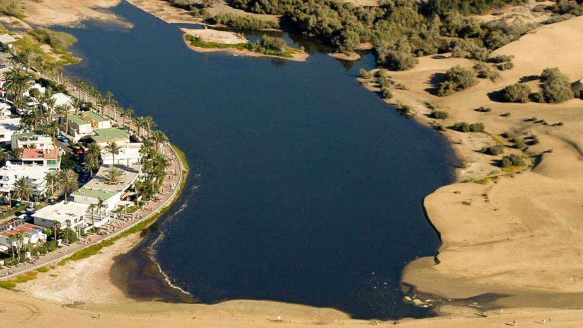 Oasis Canaria