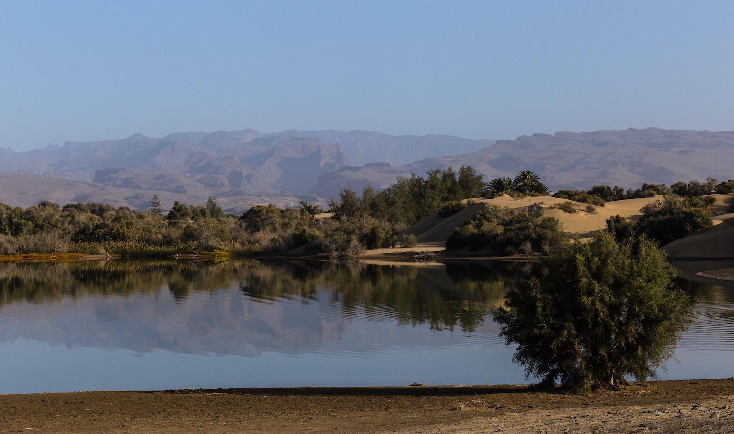 Oasis Canaria Maspalomas (Gran Canaria)
