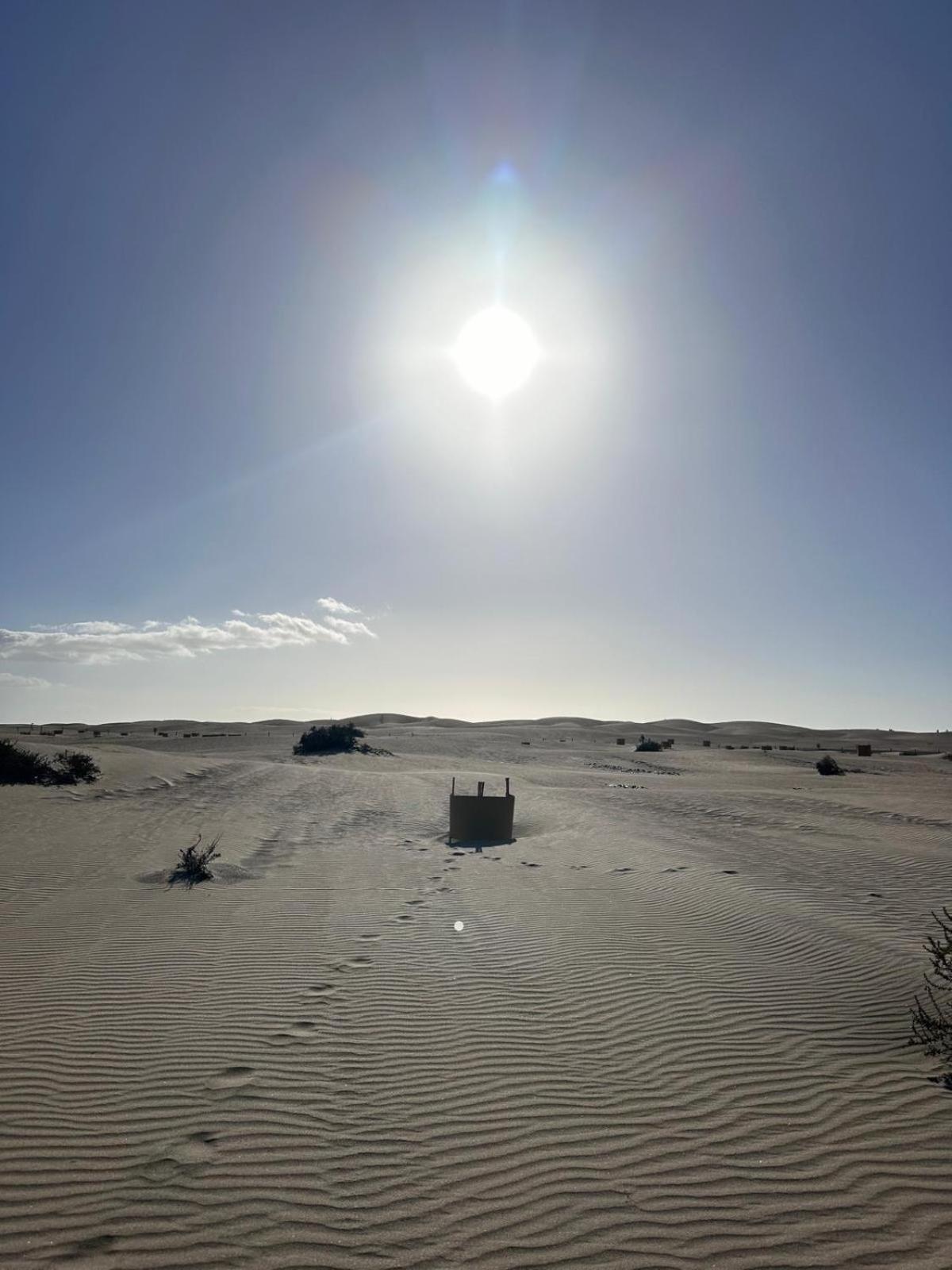 Oasis Canaria * Maspalomas (Gran Canaria)