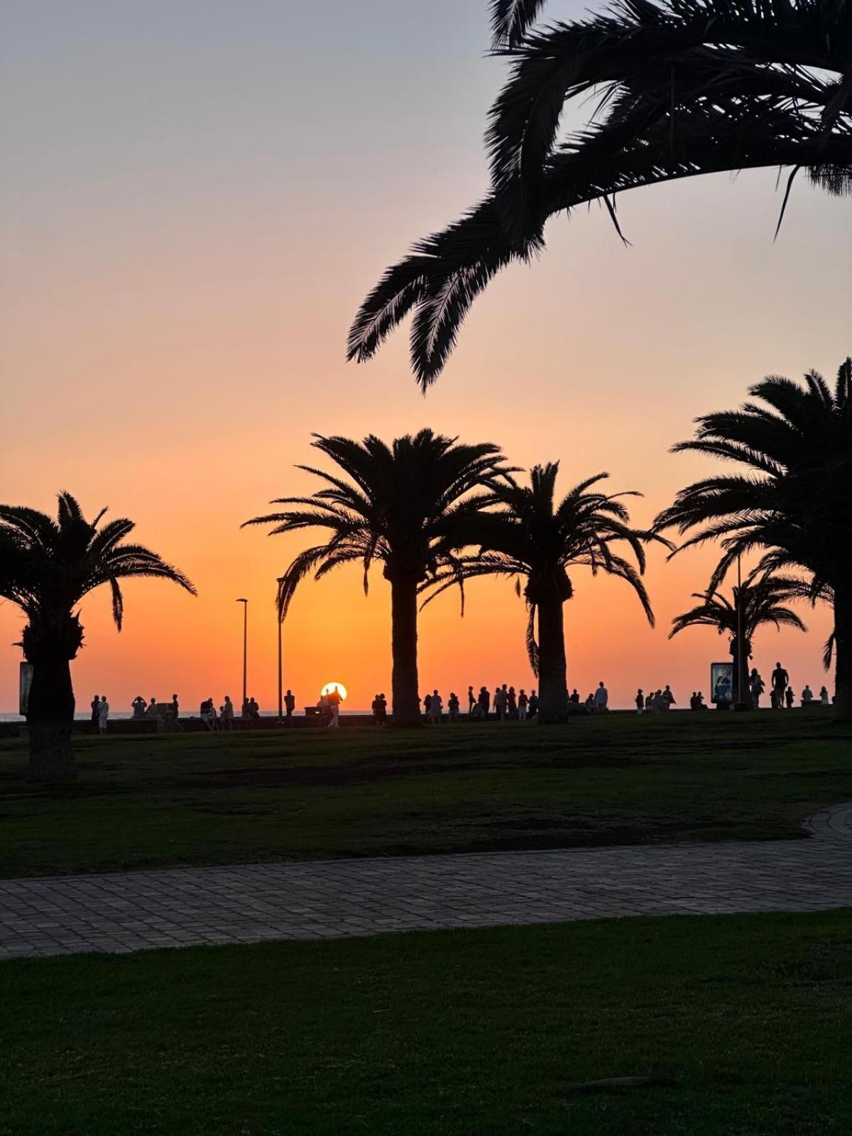 Apartamento Oasis Canaria *
