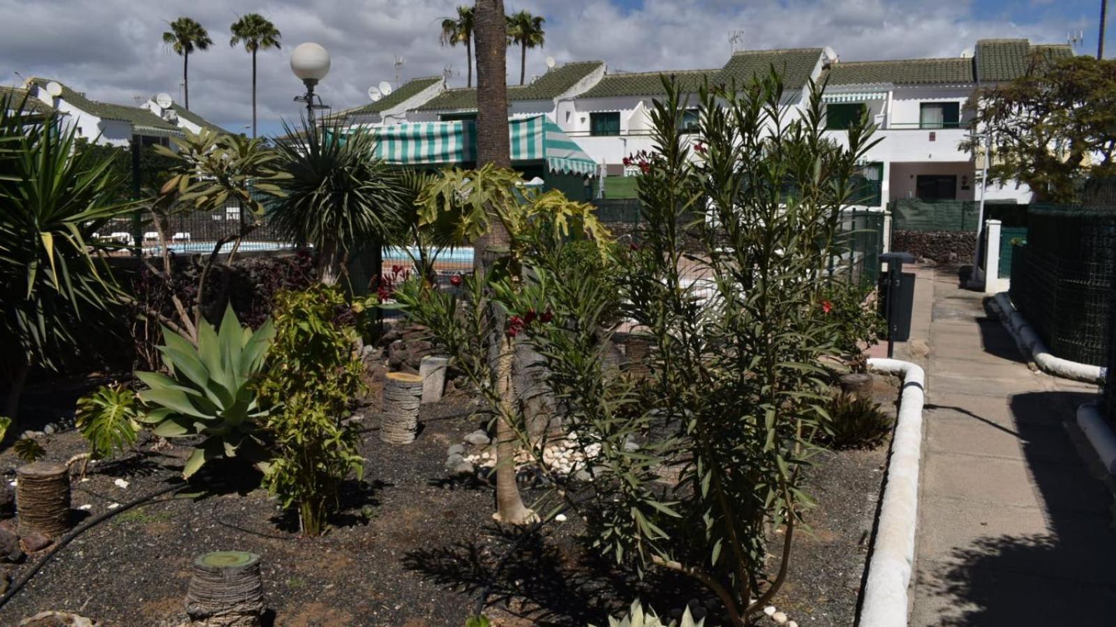 Oasis Canaria