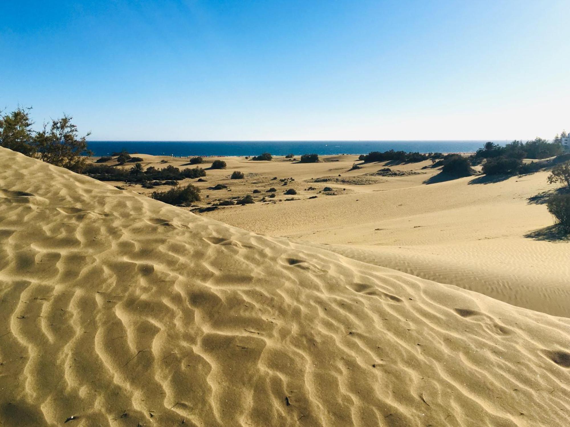 Excelsior I Sea View Maspalomas (Gran Canaria)