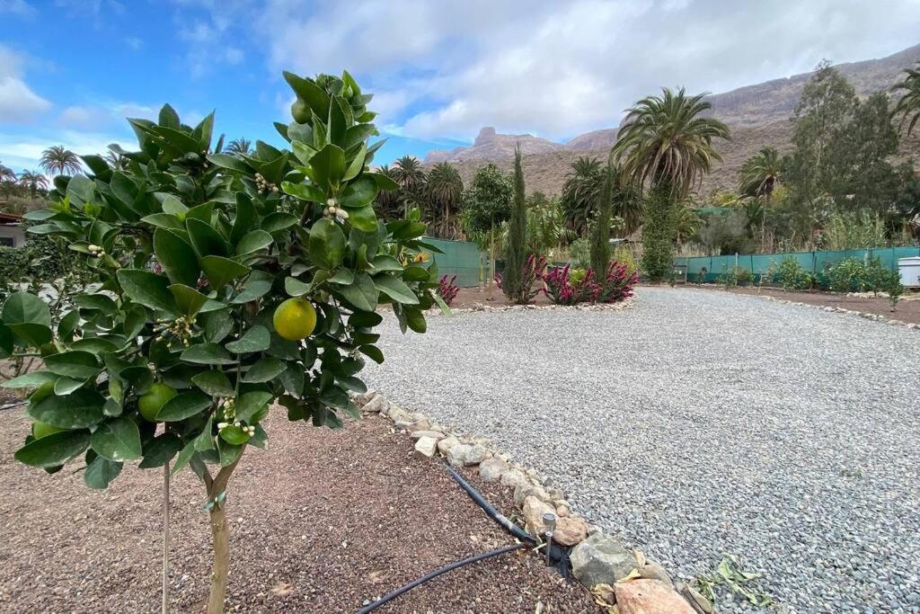 Near Fataga & Maspalomas (Gran Canaria)