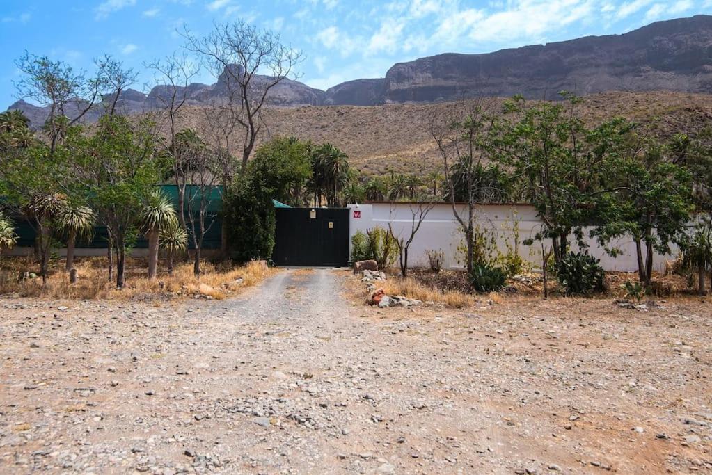 Near Fataga & * Maspalomas (Gran Canaria)