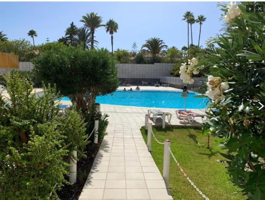 Confort Ideal * Maspalomas (Gran Canaria)