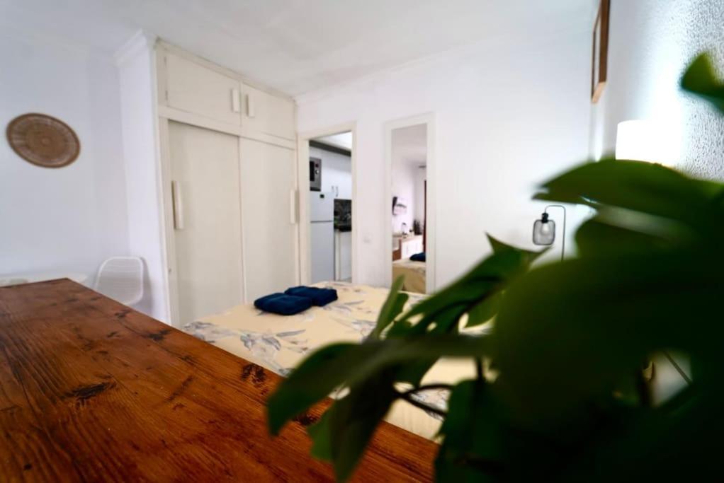 Apartment Danubio - Playa Del Ingles *