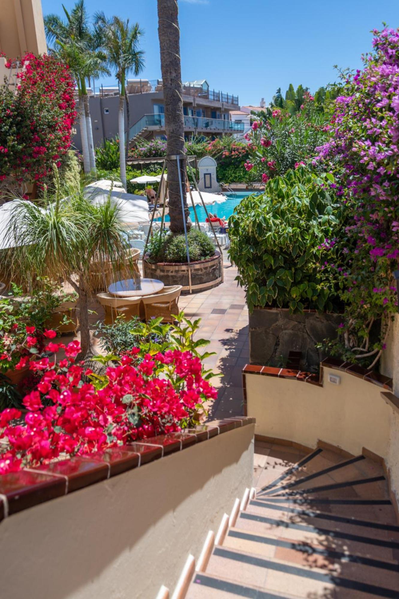 Nogalera * Maspalomas (Gran Canaria)