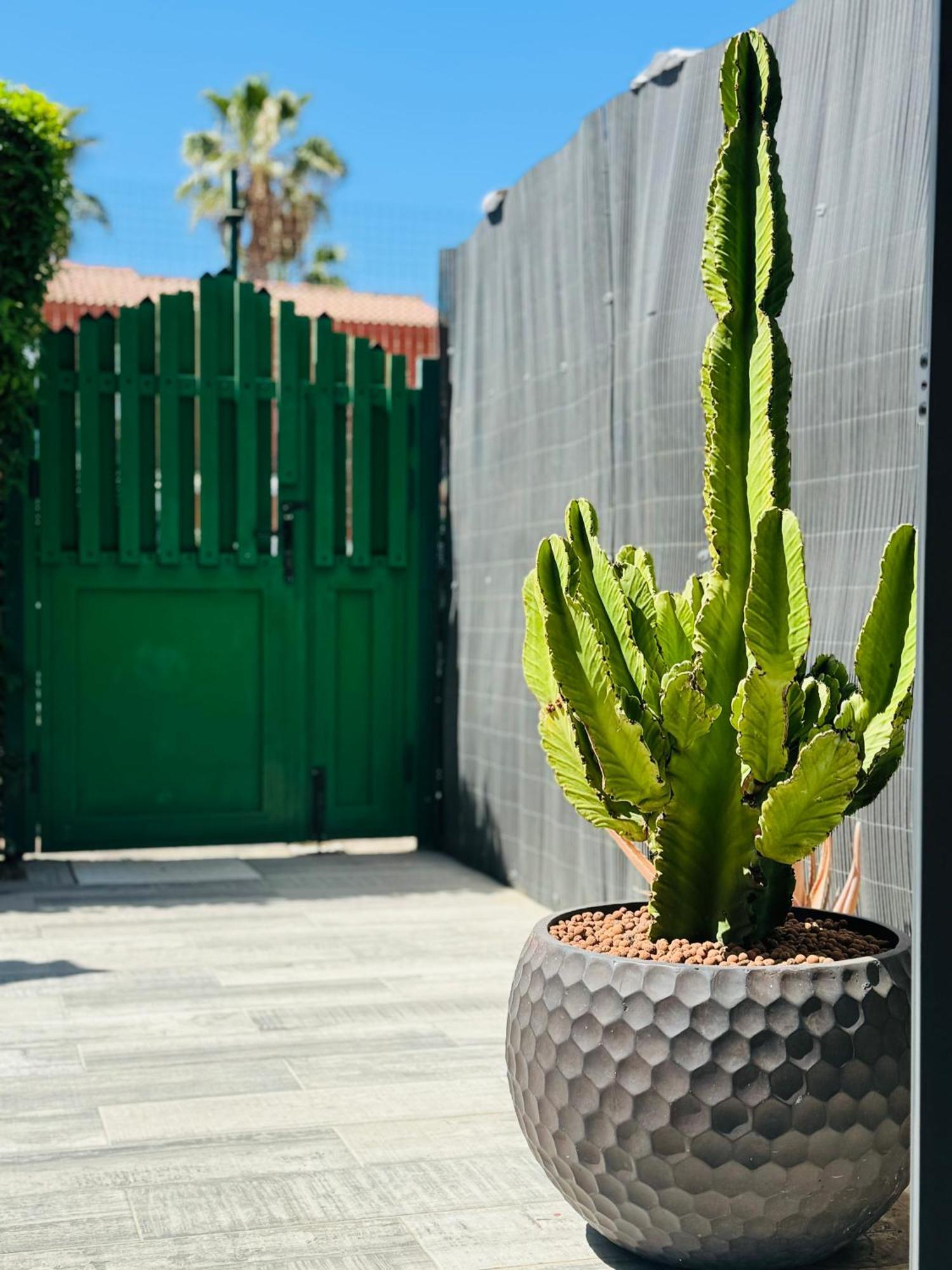 Casita Maspalomas (Gran Canaria)