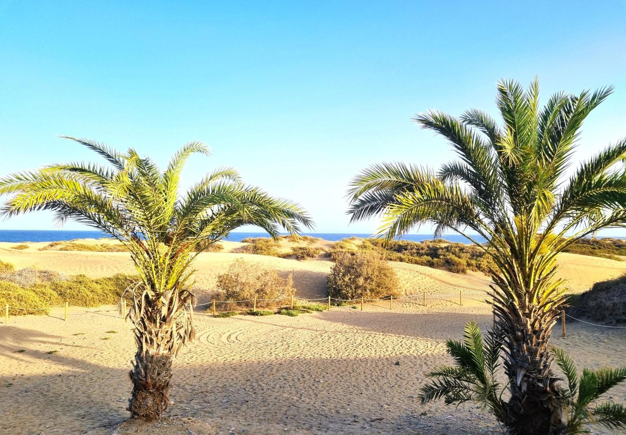 Sol Oceano Apartament Maspalomas (Gran Canaria)