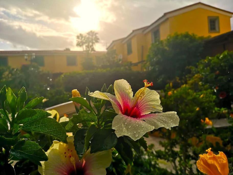 3etagen-ferienhaus,beheizter Pool,wlan,entspannung Maspalomas (Gran Canaria)