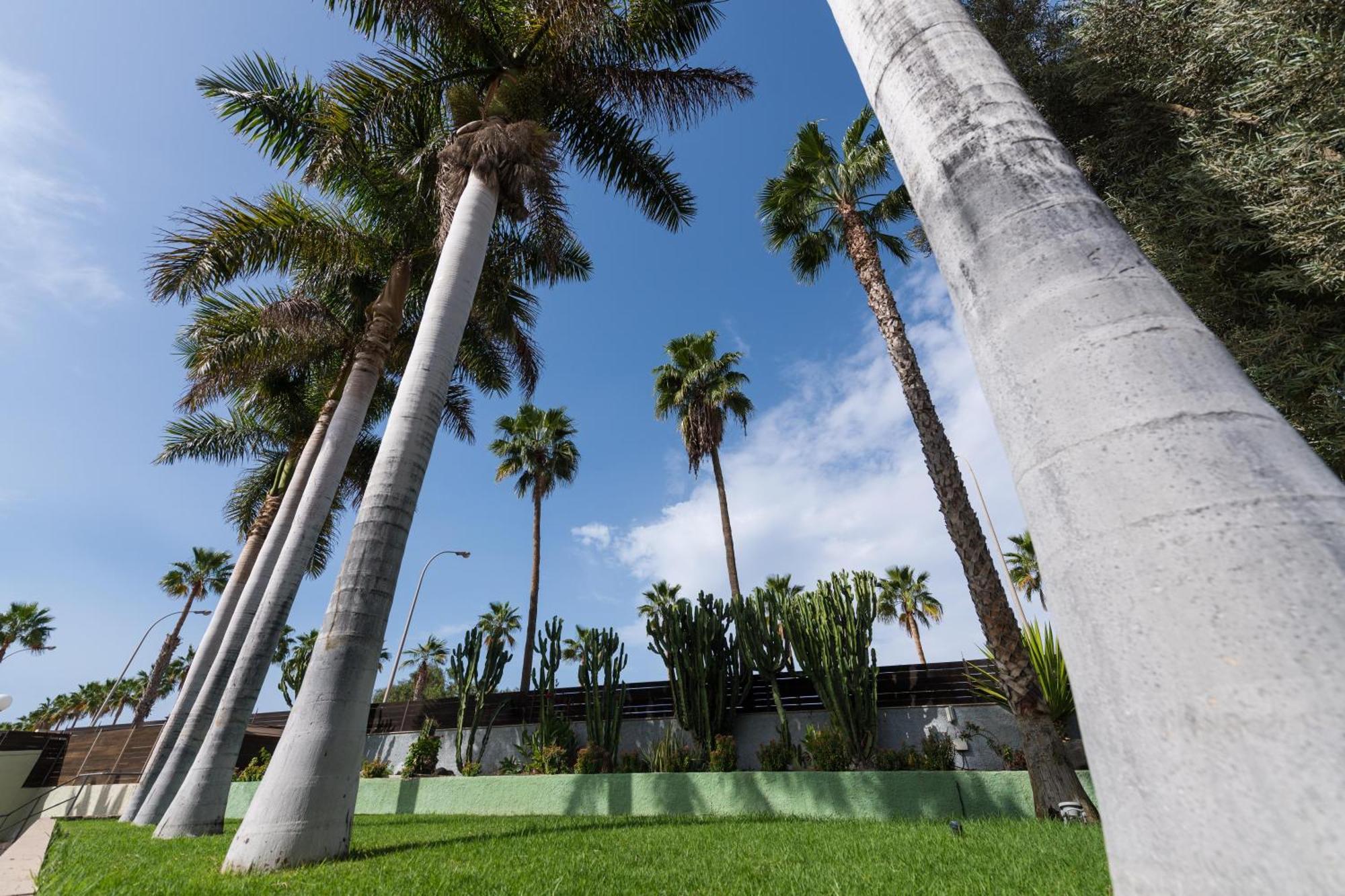 Eo Maspalomas Apartment