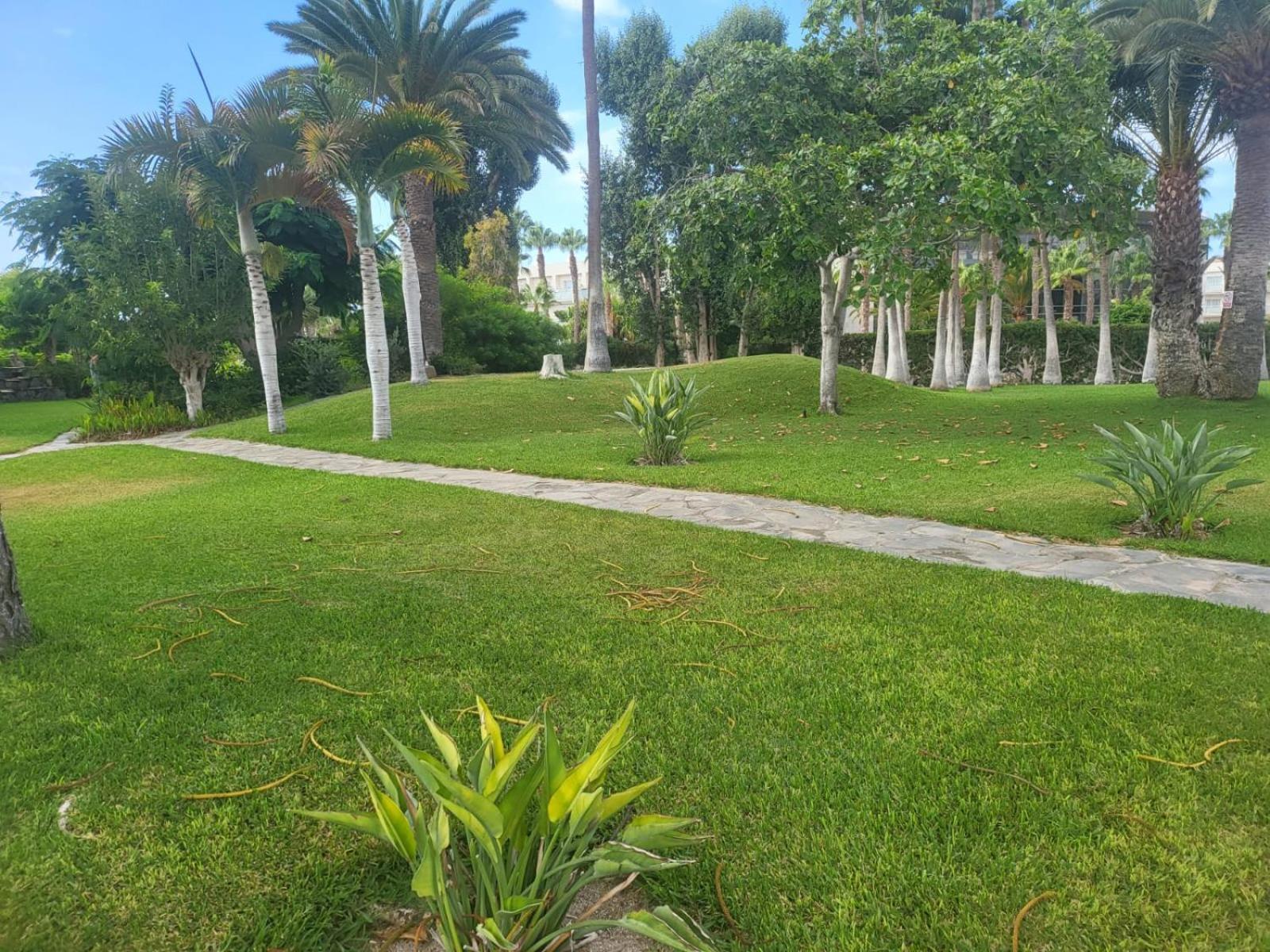 Maravillosa 2 Apartament