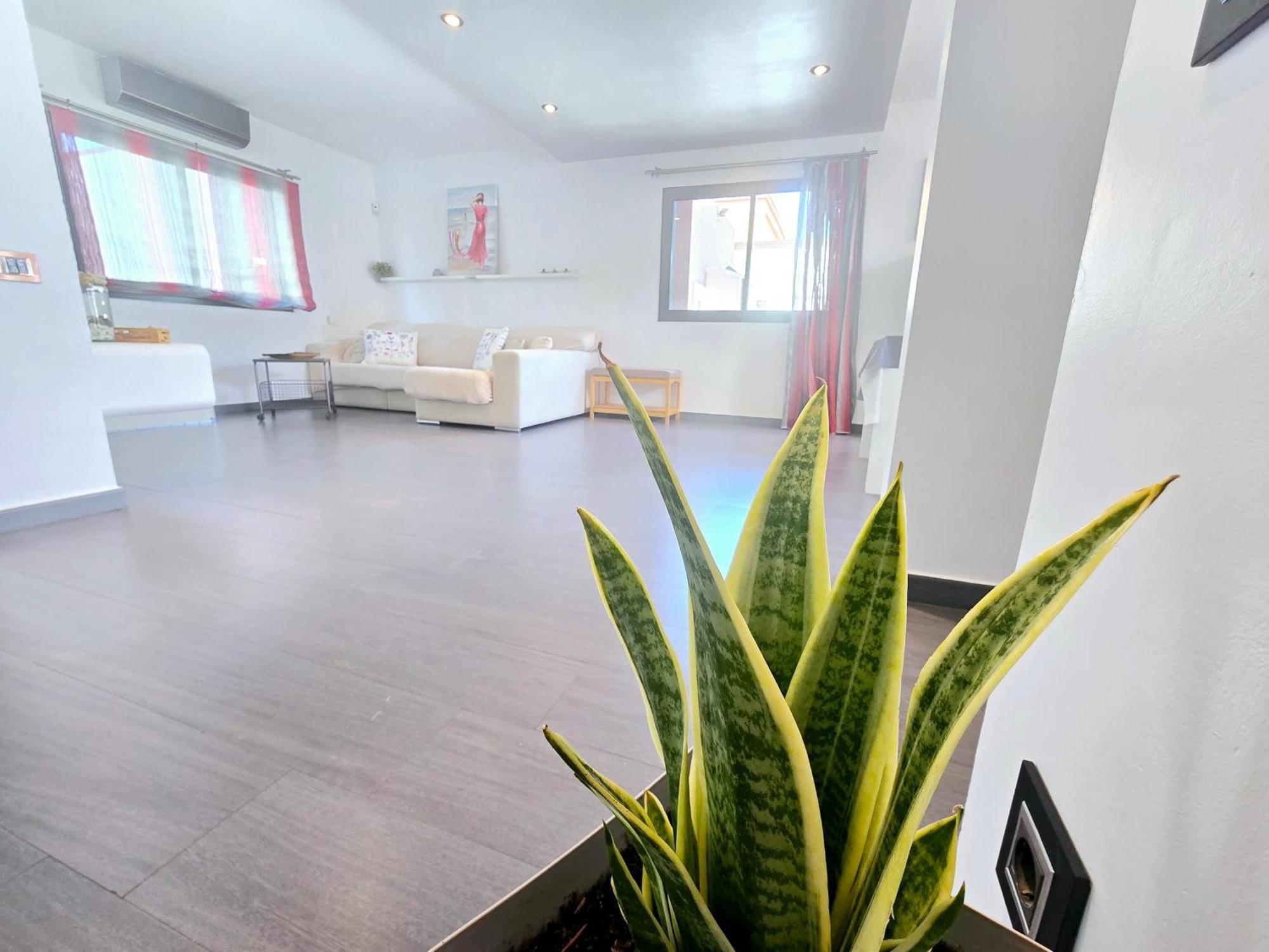 Oasis House *