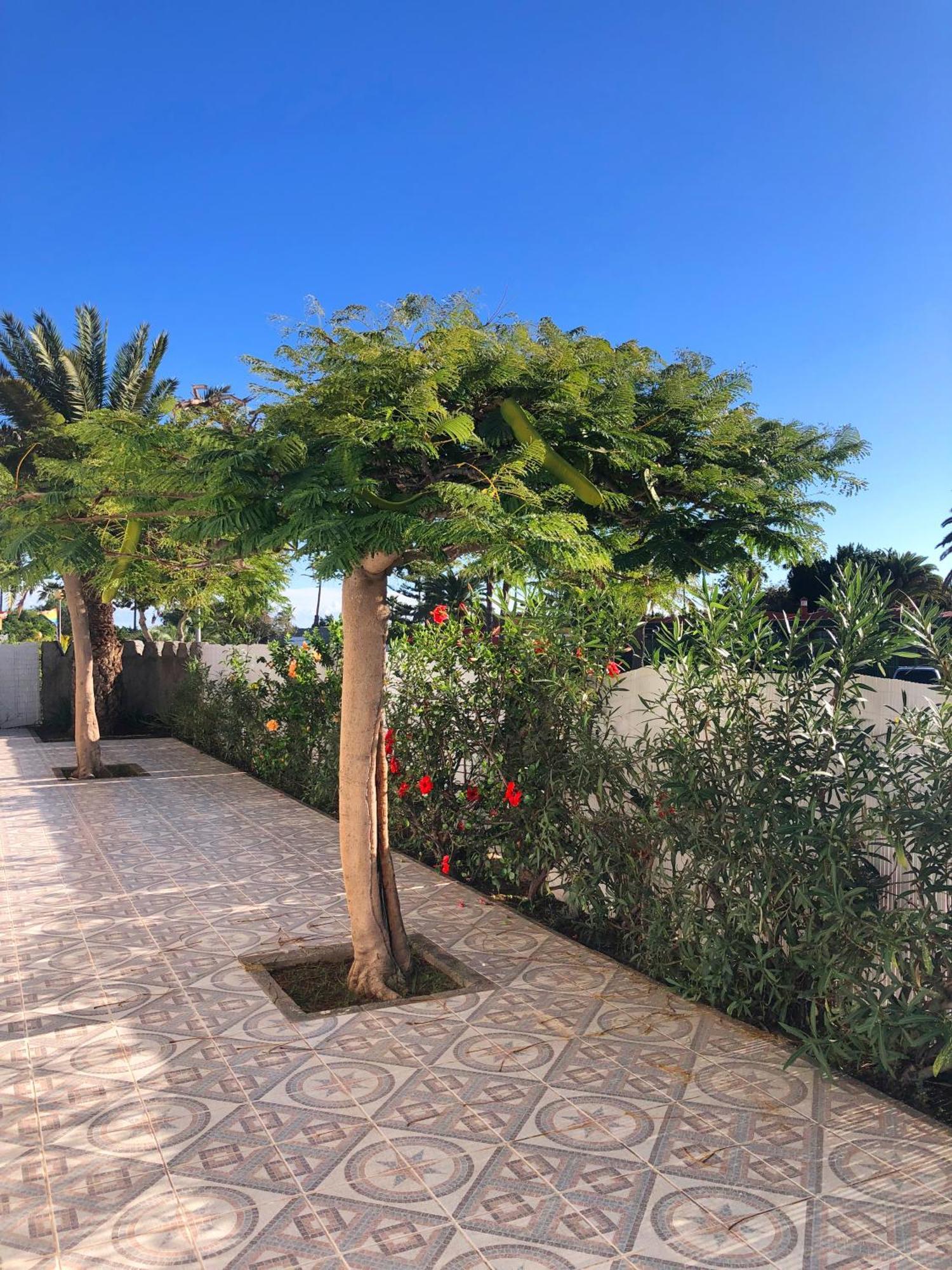 Almenas Resort