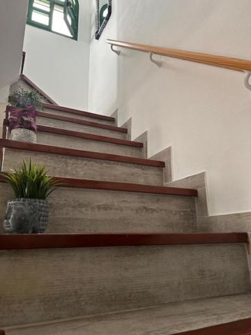 Holiday home Duna Flor - Cika 207 *