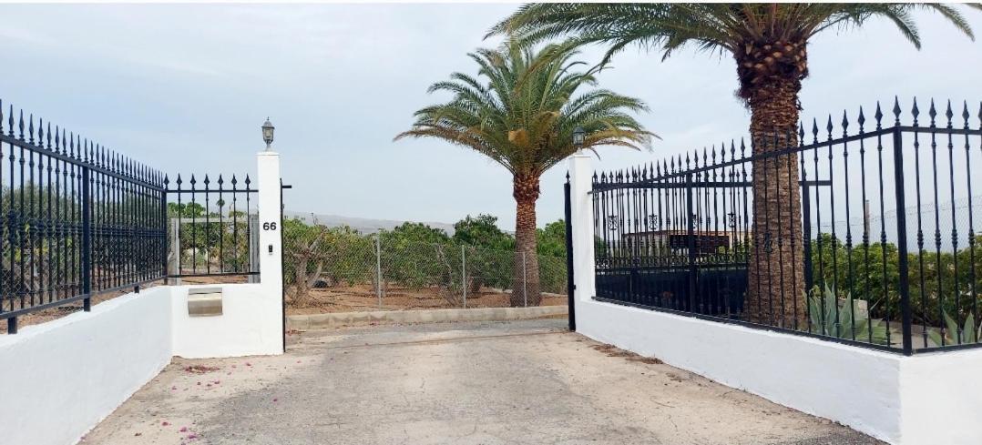 Country house The Black Horse Canarias - Adults Only