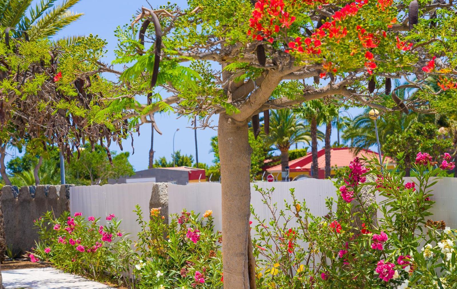 Resort Almenas Maspalomas (Gran Canaria)
