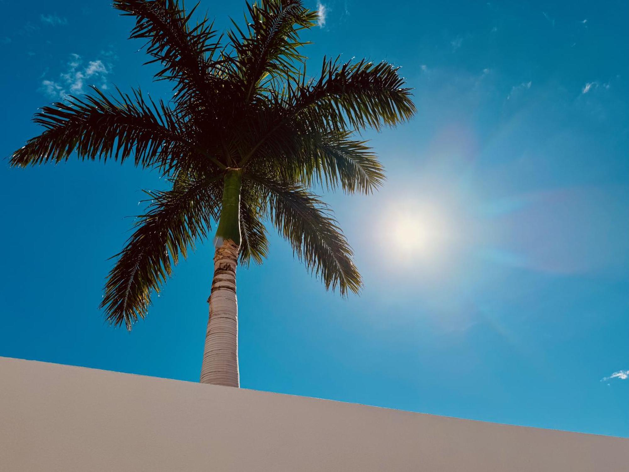 Click&guest - Sunny Oasis Terrace Maspalomas * Maspalomas (Gran Canaria)