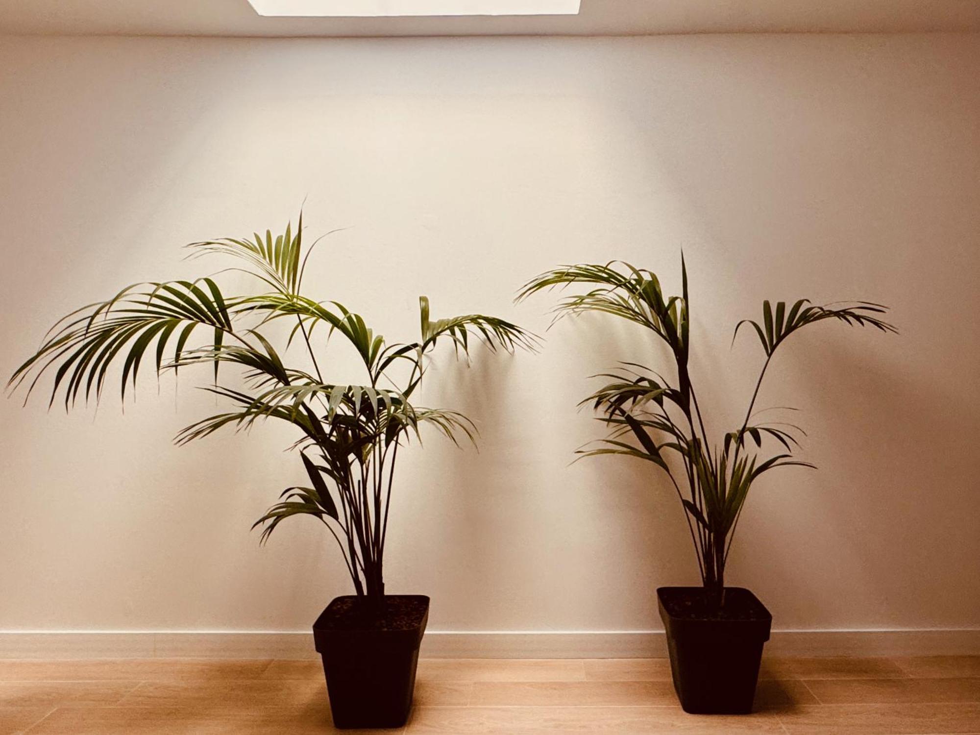 Click&guest - Jungle House In Holiday home *