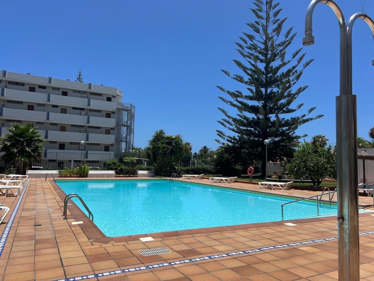 Lapo Near Yumbo Maspalomas (Gran Canaria)