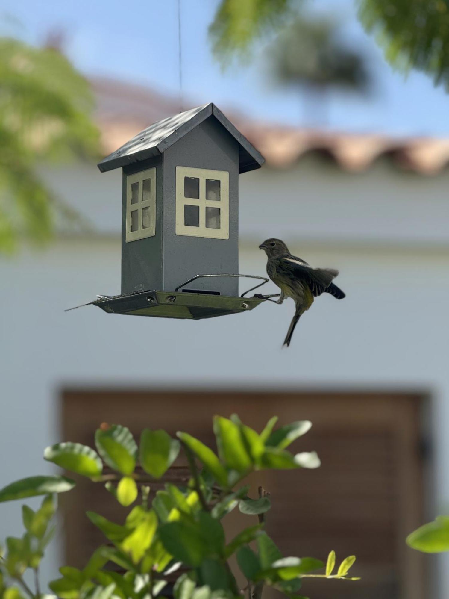 House Deluxe Case de vacanță Maspalomas (Gran Canaria)