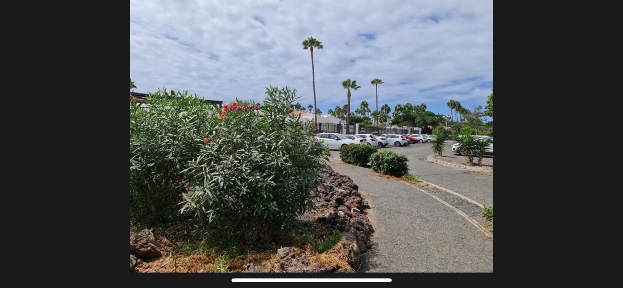Kim House Apartment Maspalomas (Gran Canaria)