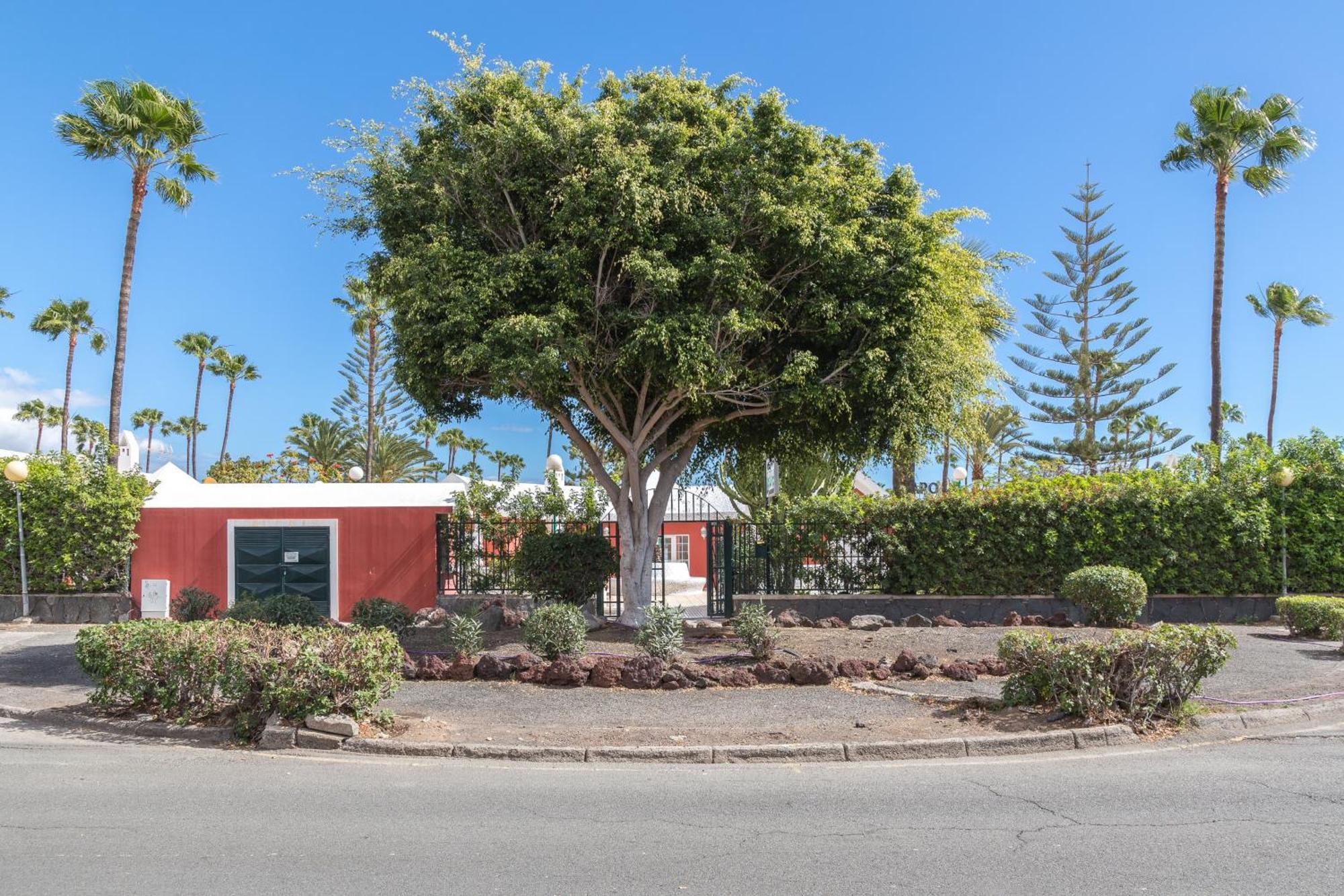 Lightbooking Los Tunos Maspalomas Terraza Privada * Maspalomas (Gran Canaria)