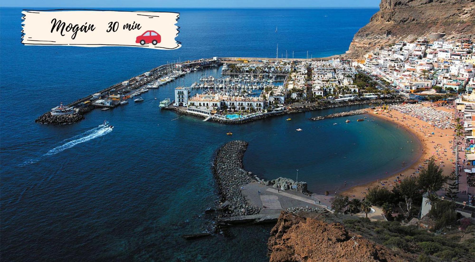 Nectarinas By Villagrancanaria *