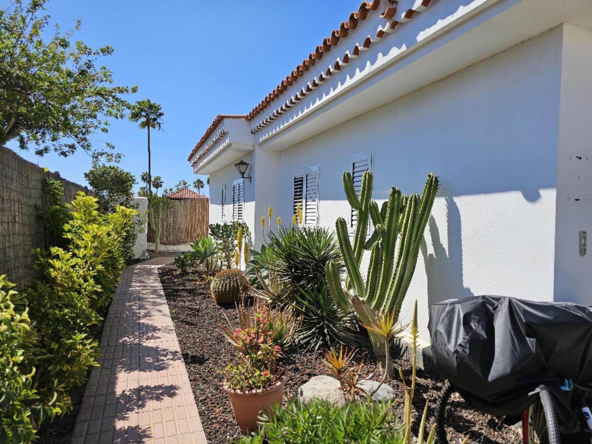 Nectarinas By Villagrancanaria