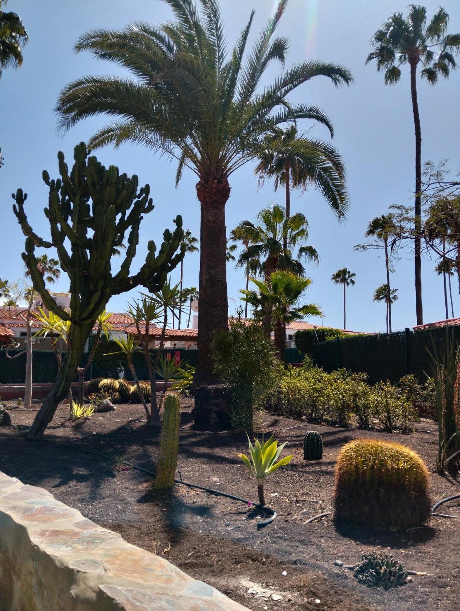 Maspalomas Paradise Maspalomas (Gran Canaria)