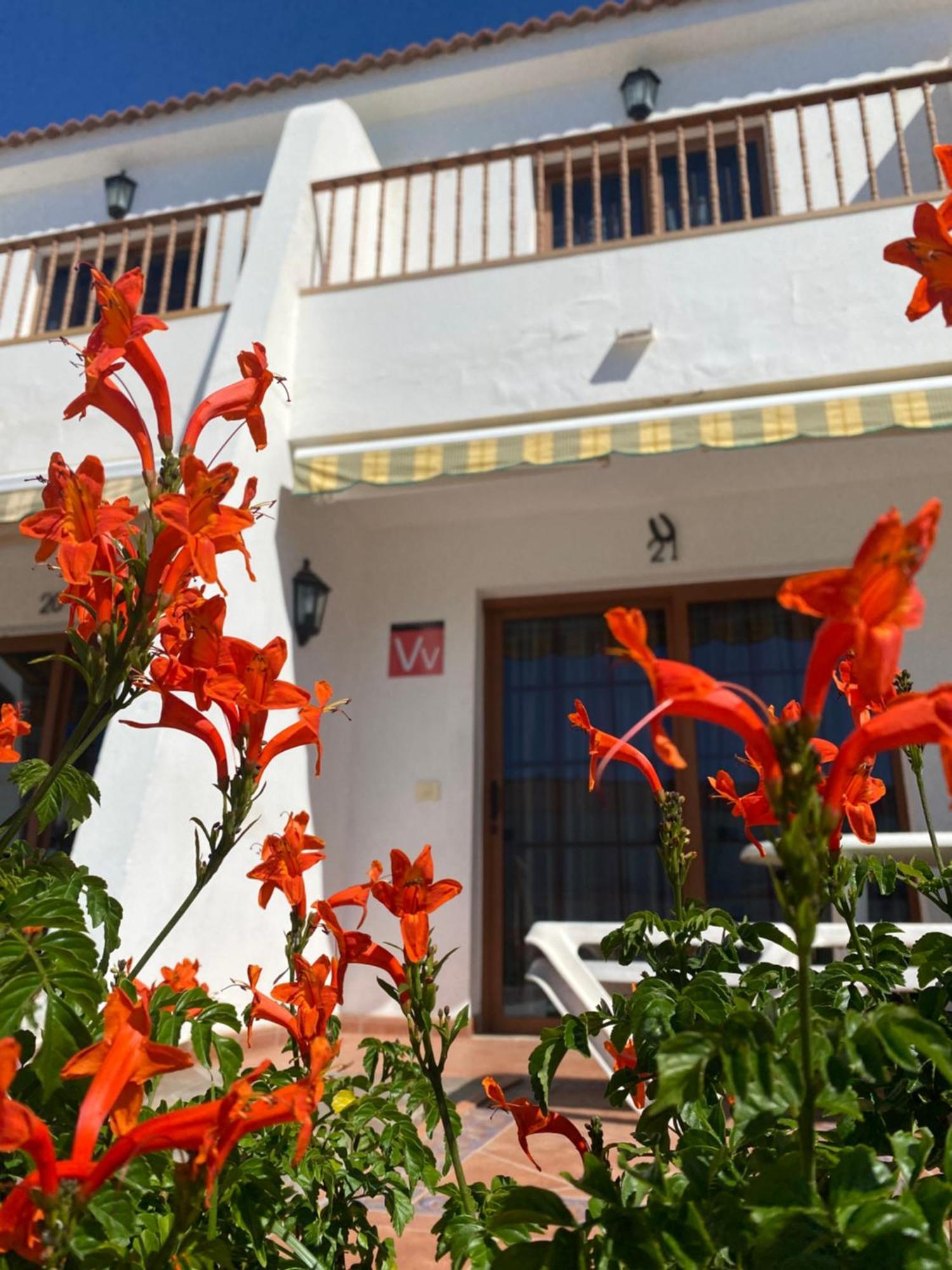 Apartment Butterfly House Vibbecanarias Maspalomas