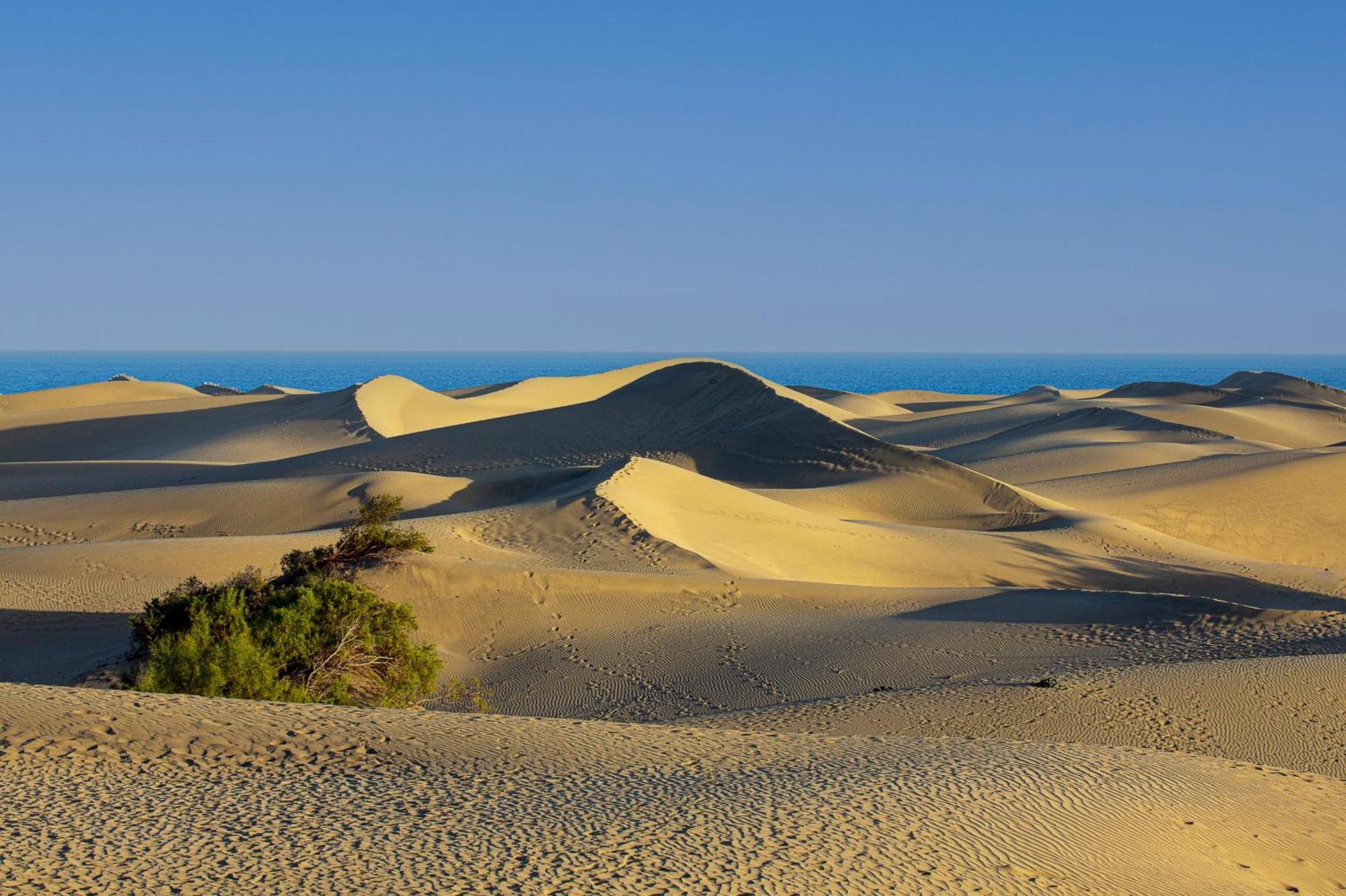 Apartment Kasbah 1 By Pride Maspalomas (Gran Canaria)