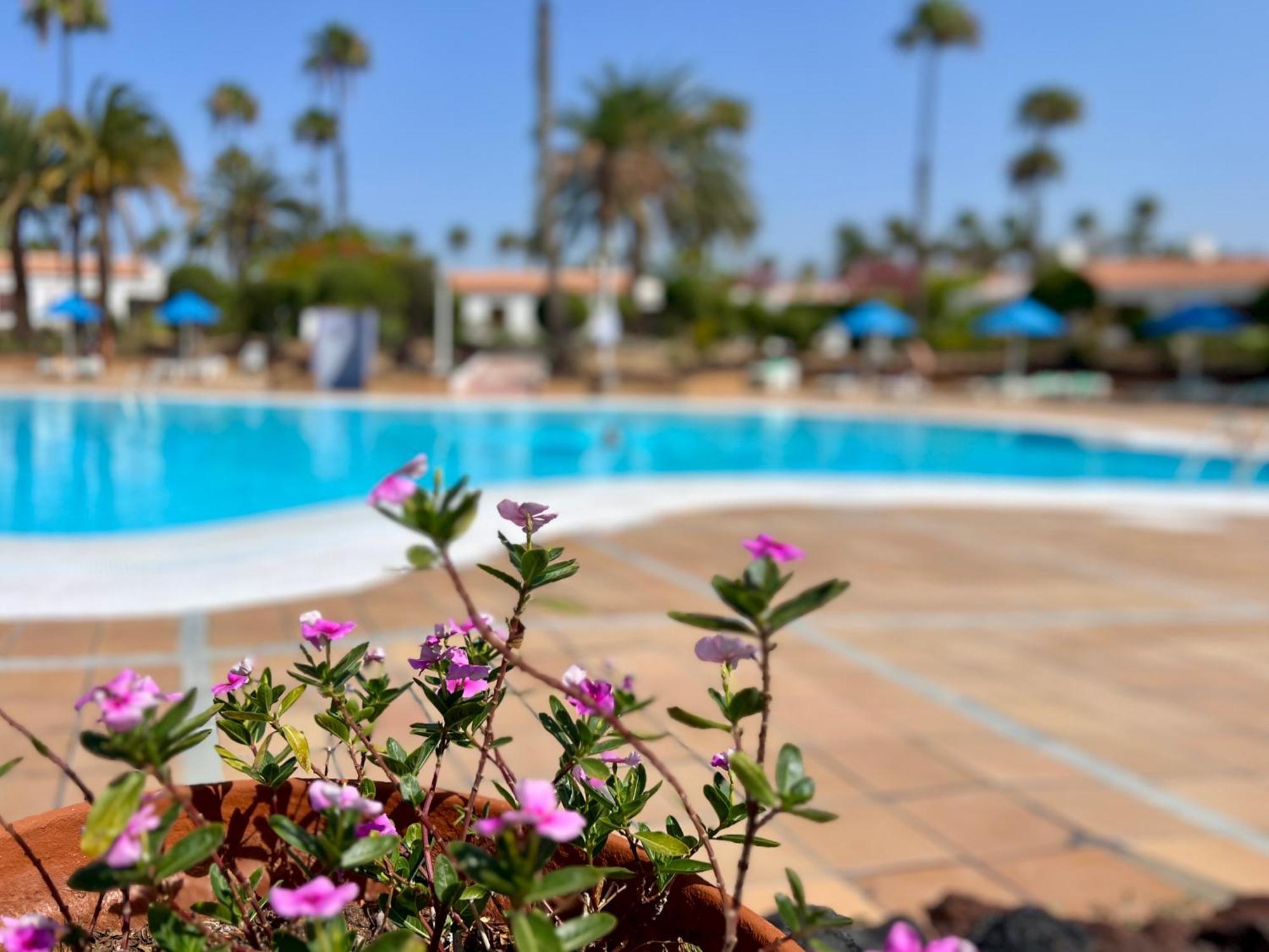 Con Piscina Apartment *