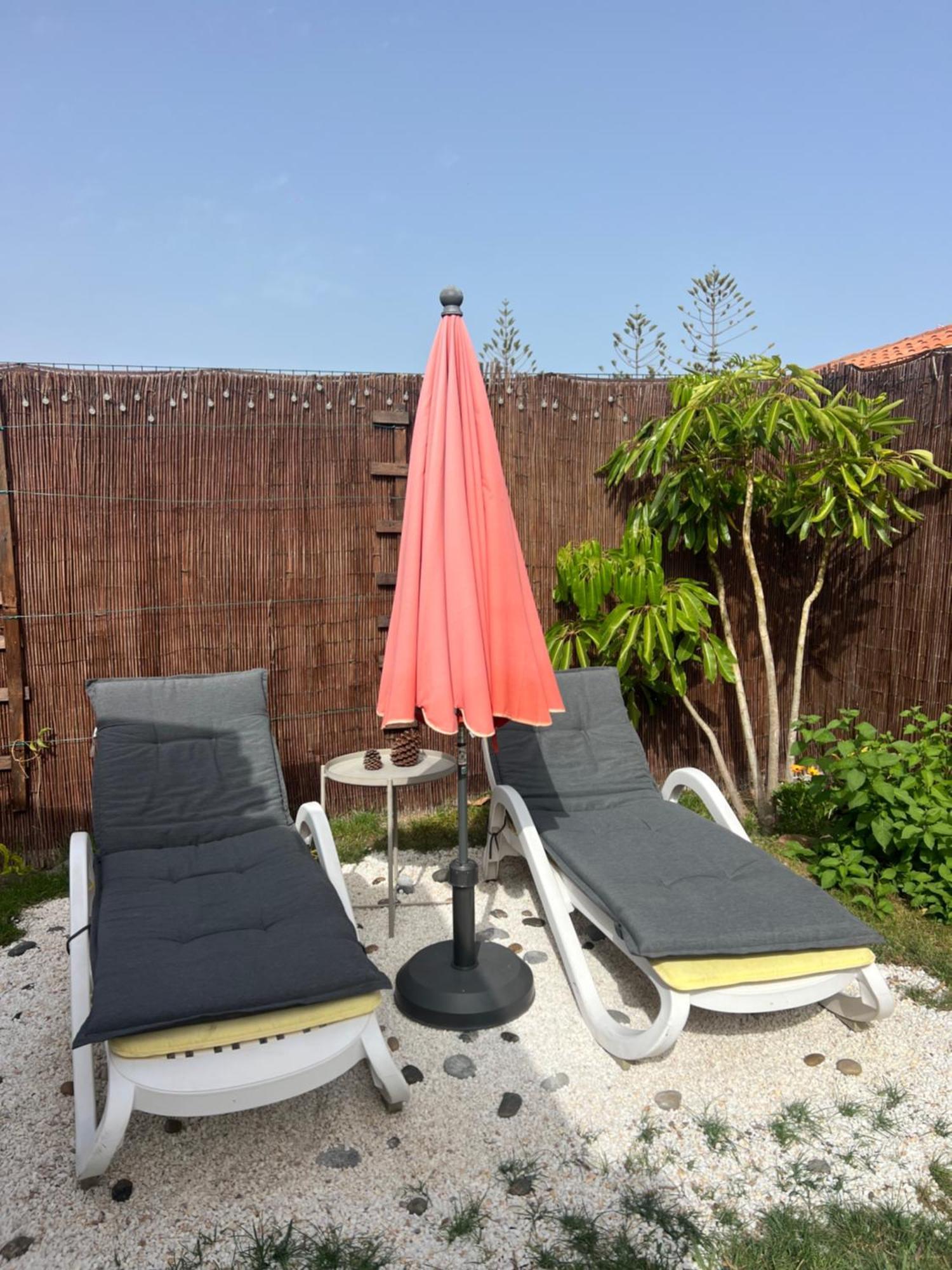 Buzzstays: 1-bed Bungalow, Garden, Near Yumbo & Huoneisto