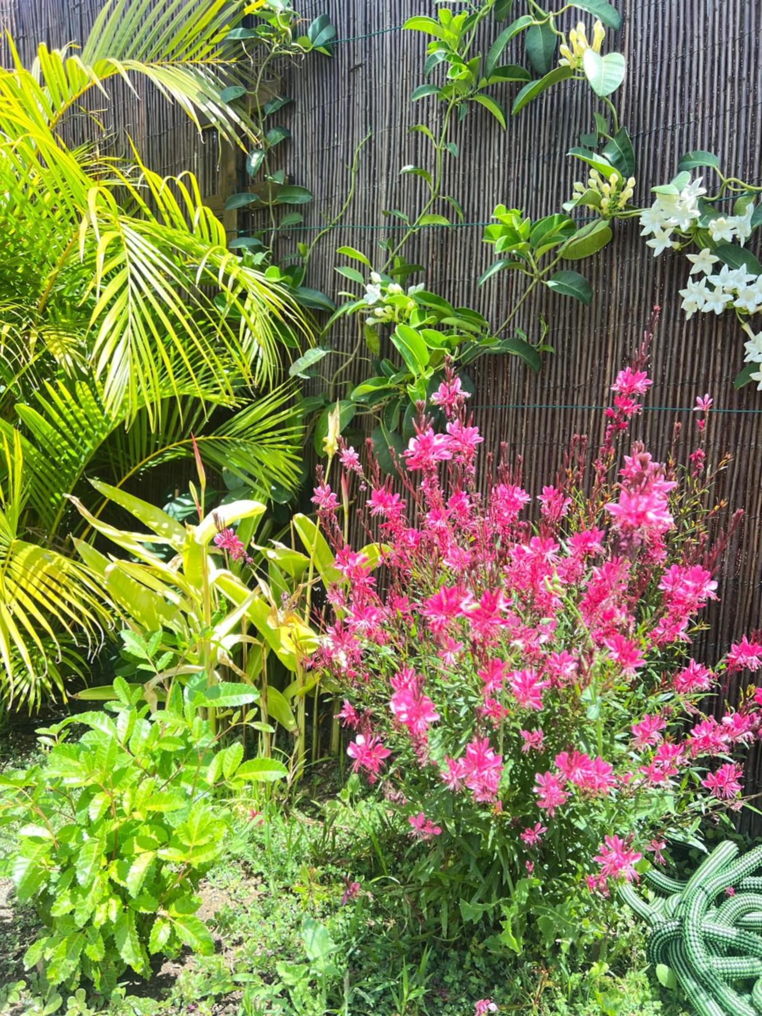 Buzzstays: 1-bed Bungalow, Garden, Near Yumbo & Huoneisto *