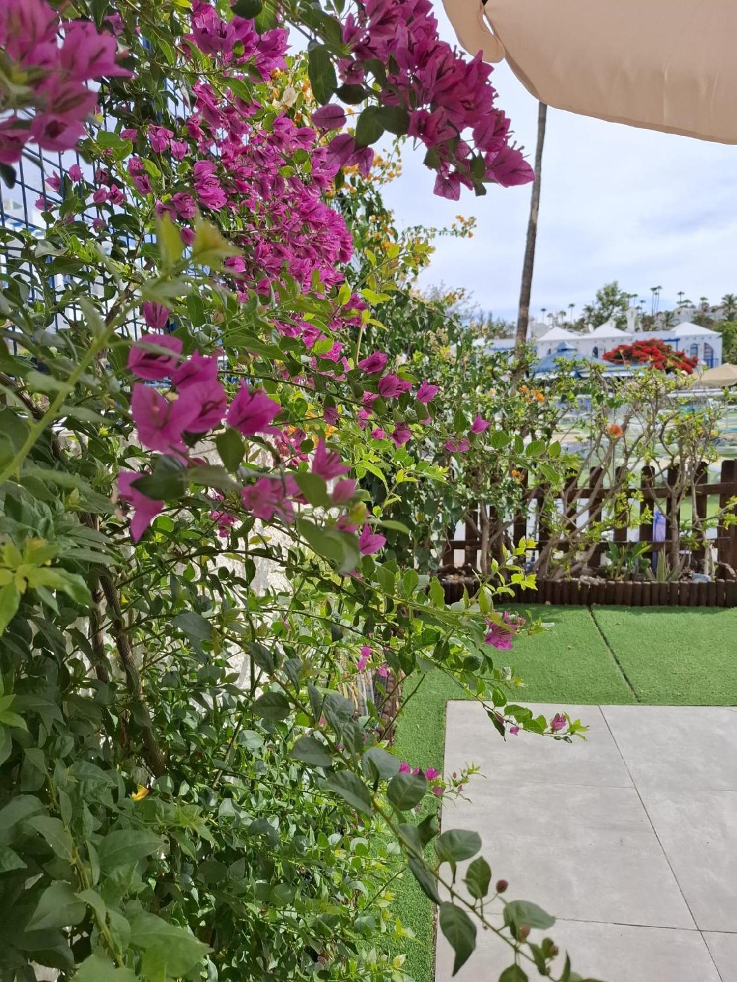 Casa Romantico - Playmar -