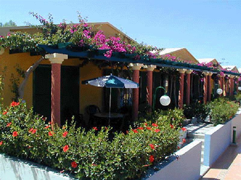 En Complejo Tranquilo En Maspalomas Maspalomas (Gran Canaria)