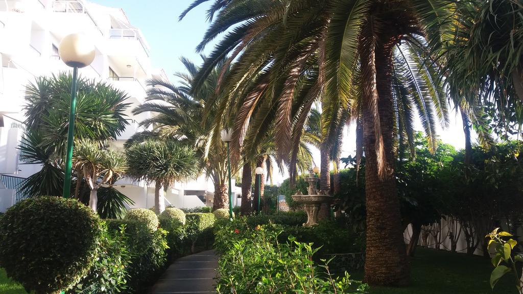 Surycan Maspalomas (Gran Canaria)