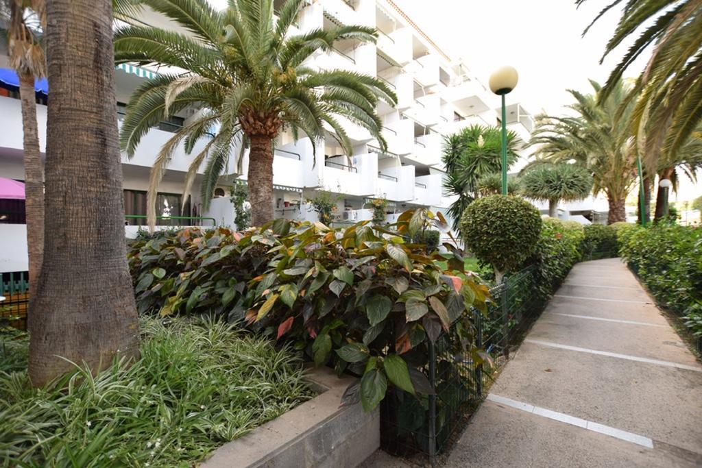 Surycan Apartamento Maspalomas (Gran Canaria)