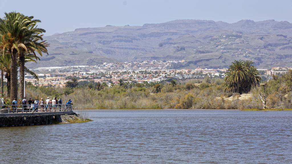 Tamara Maspalomas (Gran Canaria)