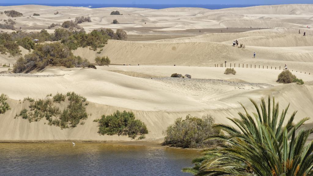 Tamara Maspalomas (Gran Canaria)