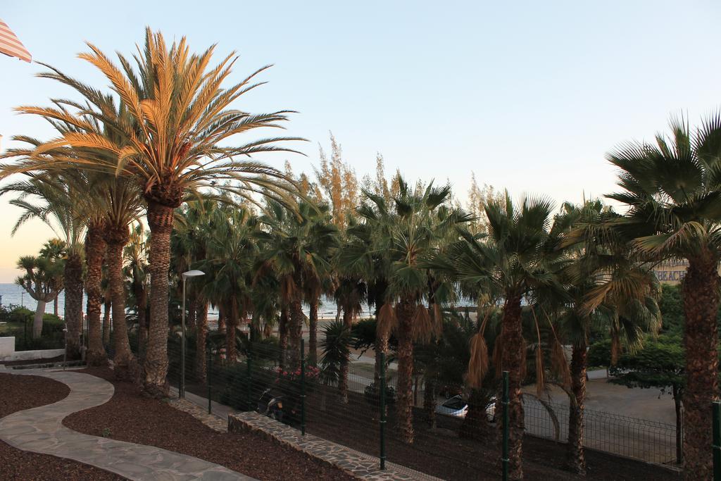 Apartamento Testeina San Agustin