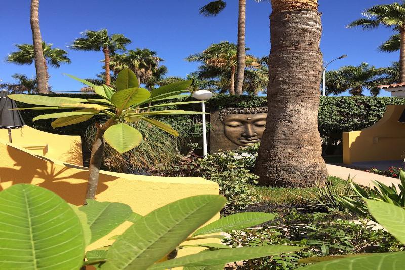 Club Torso Gay Men Only 4* Maspalomas (Gran Canaria)