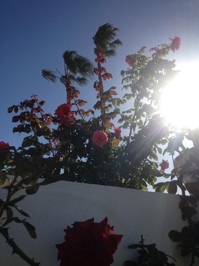 Femes * Maspalomas (Gran Canaria)