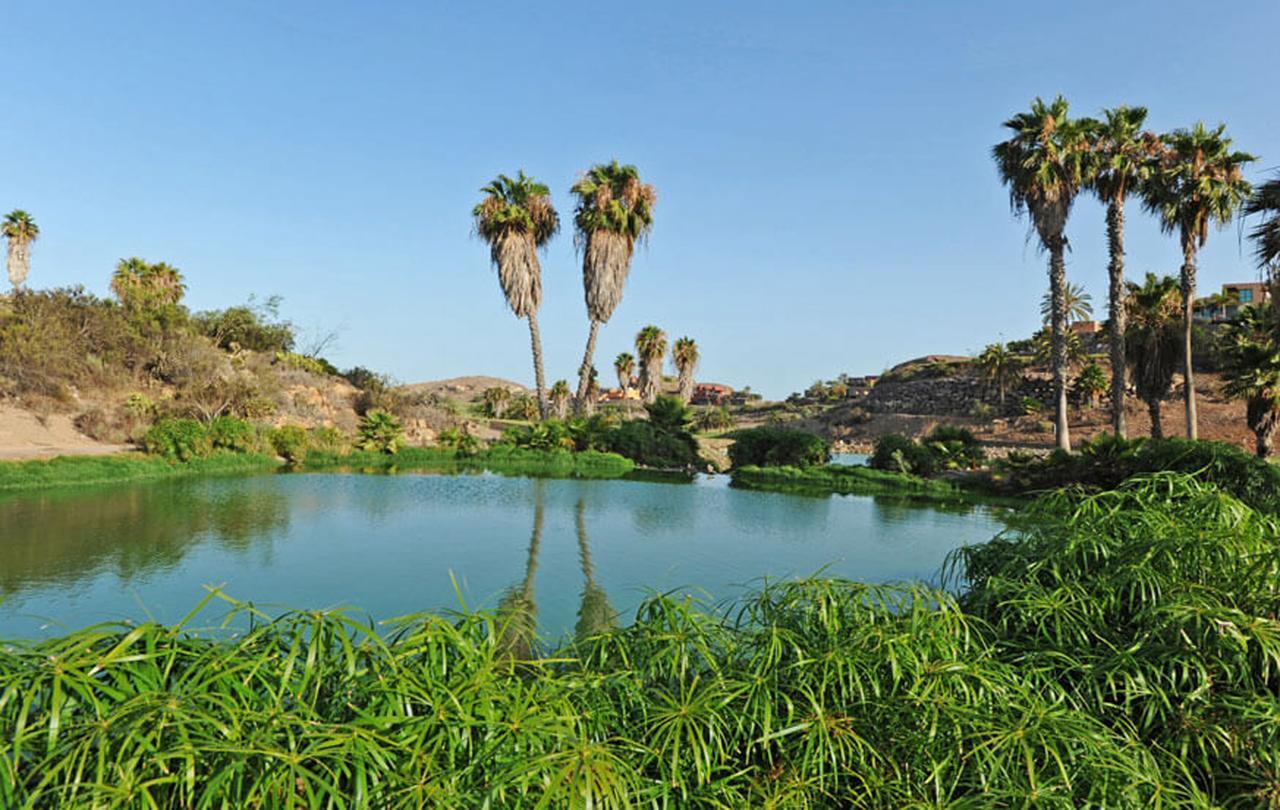 Casa de férias Salobre Las Tabaibas 1 *