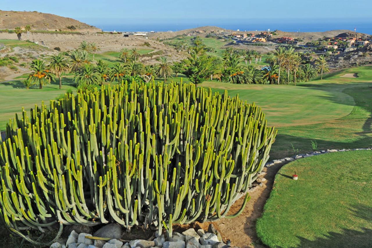 Salobre Terrazas 10 * Maspalomas (Gran Canaria)