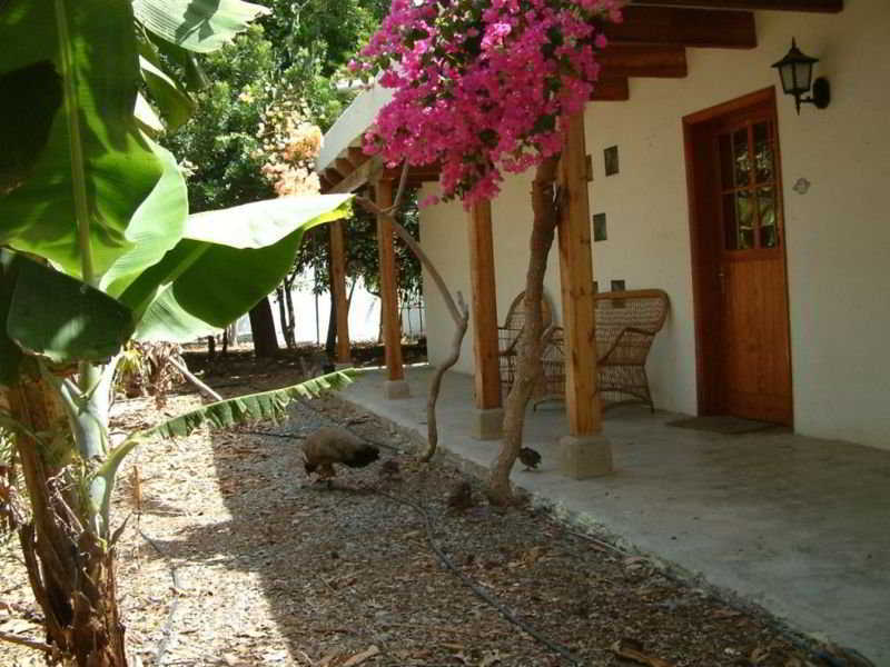 Hotel Cho Manuel Maspalomas (Gran Canaria)