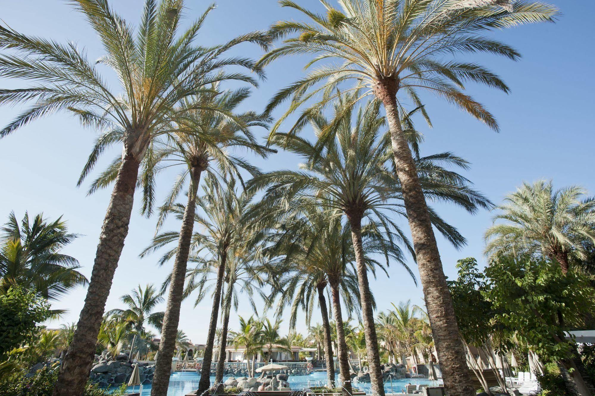 Palm Oasis Maspalomas Hotel