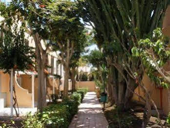 Green Oasis Club